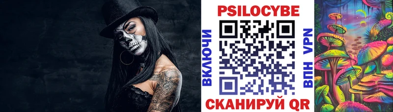 Псилоцибиновые грибы Psilocybine cubensis  Черногорск 