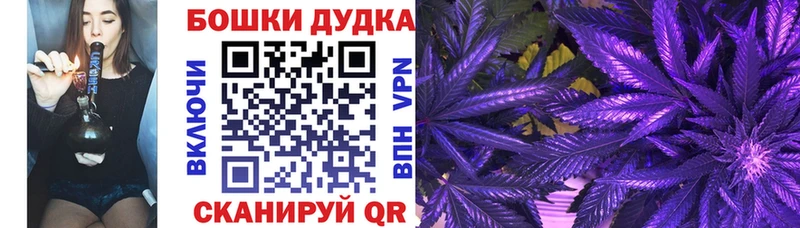 купить закладку  Черногорск  Бошки Шишки MAZAR 